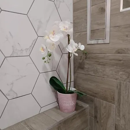 Tara Deluxe فارنا